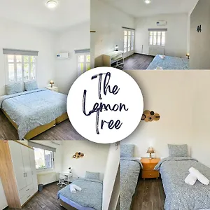 hostel-the-lemon-tree.larnacahotels.org/